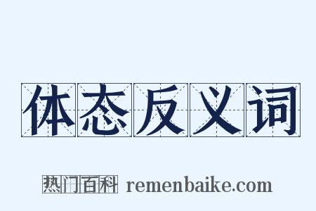 体态反义词是什么意思的图片